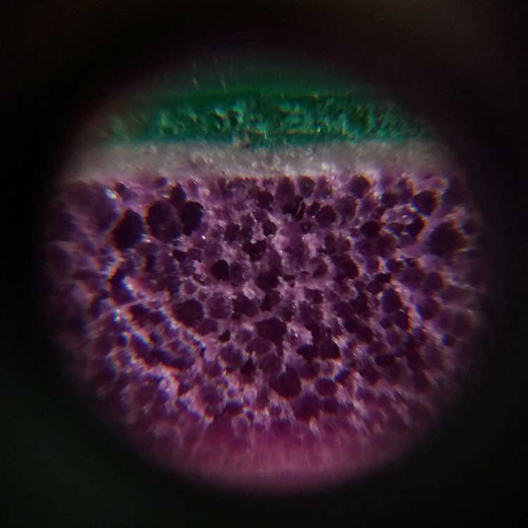 h7-750-4.jpg h7-750-4.jpg