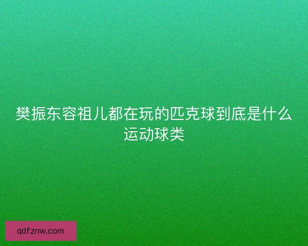 樊振东容祖儿都在玩的匹克球到底是什么运动球类